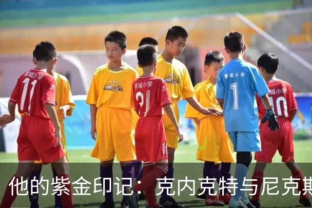 他的紫金印记：克内克特与尼克斯的全新篇章