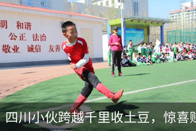 四川小伙跨越千里收土豆，惊喜赚了个盘满钵满！