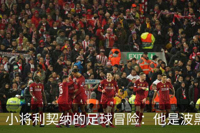 小将利契纳的足球冒险：他是波黑的“千金难求”？